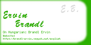 ervin brandl business card